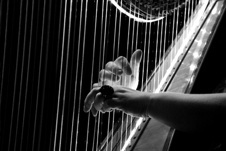 Harp Music Lessons